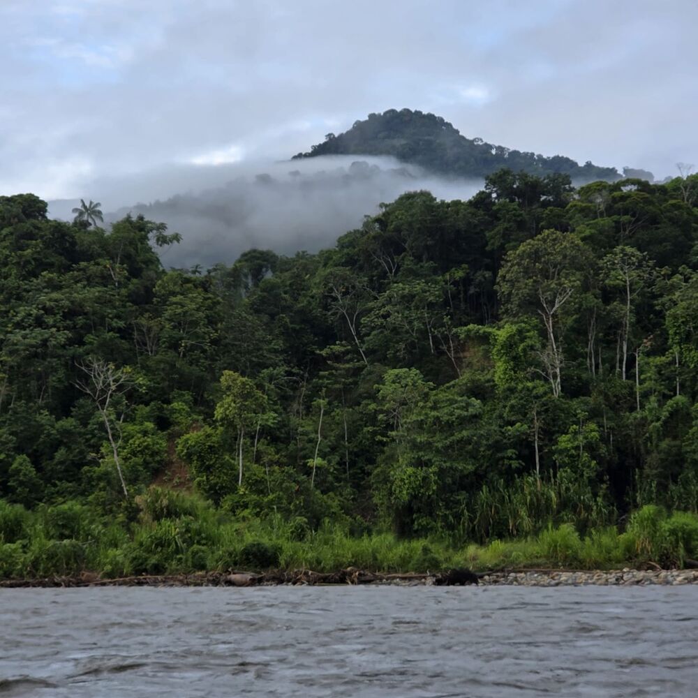 Dschungelfluss unter bewaldeten Hügeln bei tiefen Wolken